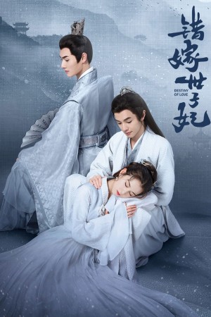 Gả Nhầm Thế Tử Phi - Destiny of Love (2025)