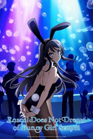 Hội chứng tuổi teen và cô gái có đôi tai thỏ - Rascal Does Not Dream of Bunny Girl Senpai (2018)