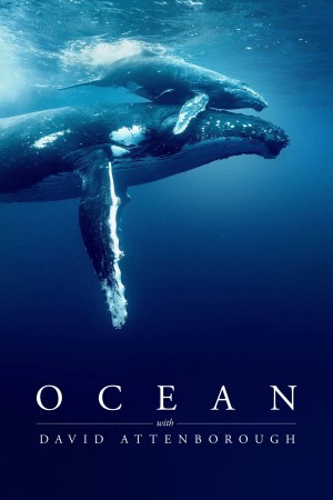 Ocean with David Attenborough - Ocean with David Attenborough (2025)