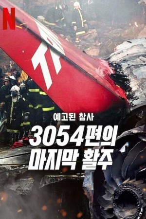 Thảm kịch được báo trước: Chuyến bay 3054 - A Tragedy Foretold: Flight 3054 (2025)